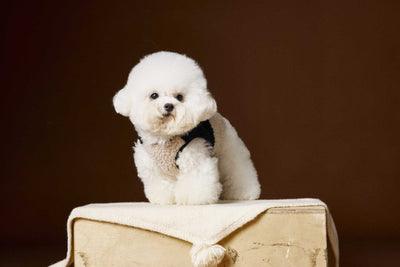 Chaleco de Terciopelo Acolchado Schnauzer Bichon sin Mangas - Image 30
