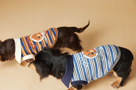 Polo Rayado para Perros Tony Bear - Ropa Cómoda y Elegante - Image 40
