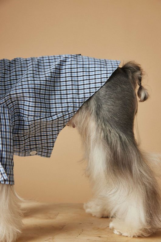Camisa Cuadriculada de Verano para Perros Pequeños - Image 20