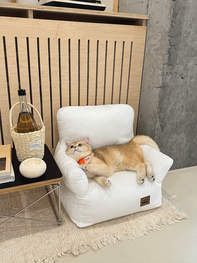 Cama Sofá para Mascotas con Diseño Acogedor - Lavable y Transpirable - Image 44
