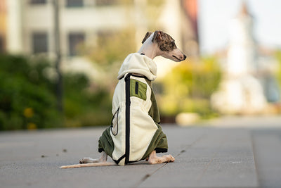 Abrigo Térmico para Mascotas con Cuello Desmontable Resistente al Viento - Image 25