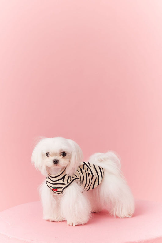 Chaleco sin Mangas Schnauzer Teddy Bichón a Rayas Cerezo - Image 18