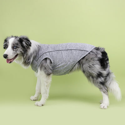Ropa Reflectante para Perros Pequeños - Chaleco Luminoso Teddy, Pomerania y Pug - Image 23