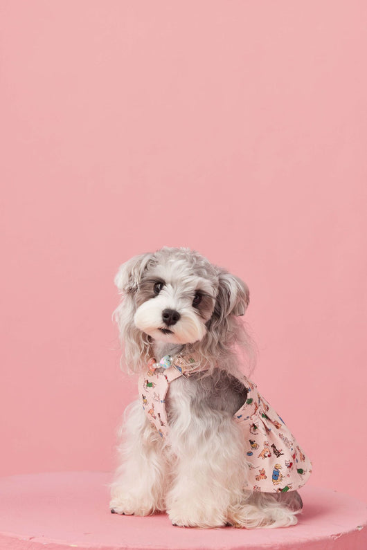 Falda Denim con Tirantes para Perros Pequeños Schnauzer y Maltés - Image 45