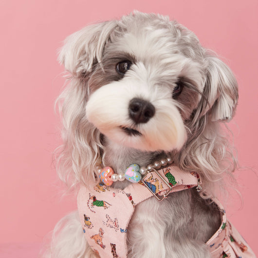 Adornos de Cuentas para Mascotas - Accesorios Decorativos Cóncavos para Perros - Image 17