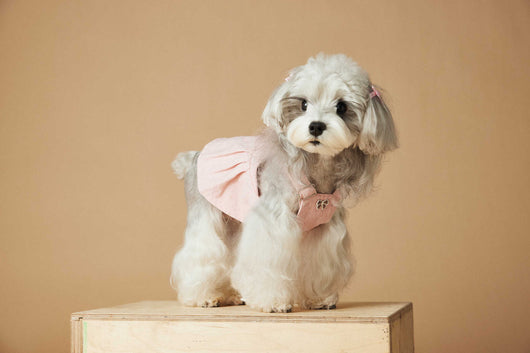 Falda Overol de Mezclilla Lavada para Perros - Image 12