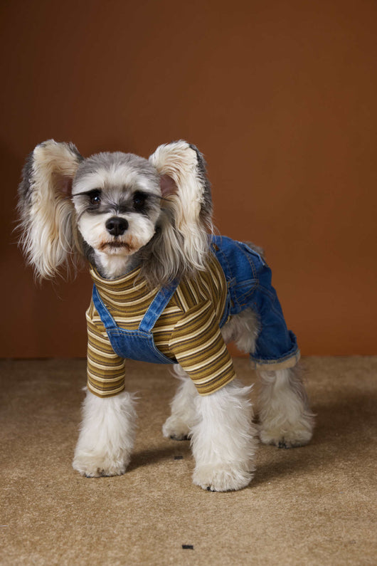 Ropa de Invierno para Perros Pequeños - Jeans Acolchado Térmico - Image 16
