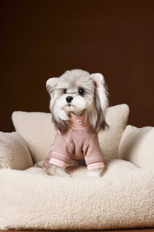 Ropa para Perros Teddy Schnauzer Bichon Bicolor Cómoda - Image 25