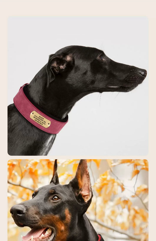 Collar Ancho para Perro con Letrero Antideslizante - Image 31