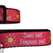 Sun's Out Tongue's Out Black Nylon Dog Collar MD, LG, XL, Leash