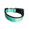 Fetch It Yourself! Black Nylon Dog Collar MD, LG, XL, Leash