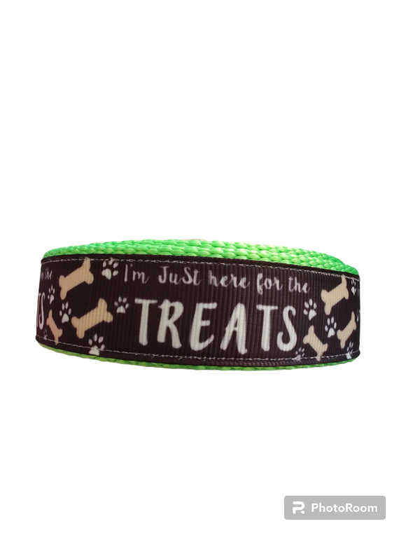 Coleira de Nylon Verde Neon para Cães Here For The Treats MD, LG, XL, Guia