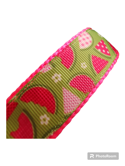 Watermelon Picnic Hot Pink Nylon Dog Collar MD, LG, XL, Leash