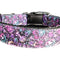Paranormal Purple Halloween Dog Collar - Heavy-Duty Nylon