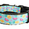 Fruit Party Nylon Dog Collar