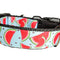 Watermelon Slices Nylon Dog Collar