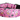 Halloween Floral Witch Nylon Dog Collar