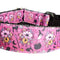 Collar para Perro Bruja Floral Halloween - Nylon Resistente Hecho en USA