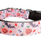 Collar para Perro Halloween Spooky Friends - Nylon Resistente Hecho en USA