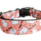Collar Halloween para Perros Boo Thang - Nylon Resistente Hecho a Mano