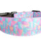 Pastel Pyramids Nylon Dog Collar MD, LG, XL, Leash
