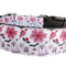 Coleira para Cães Halloween Fantasma Floral - Nylon Resistente