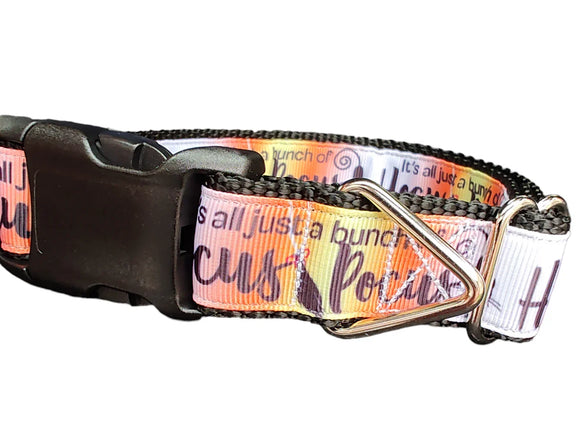Collar para Perro Hocus Pocus Halloween - Nylon Resistente Hecho en USA