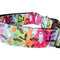 Coleira de Cachorro Halloween Fantasmas Arco-íris - Nylon Resistente