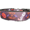 Collar de Perro Halloween Trick or Treat - Nylon Resistente Hecho a Mano