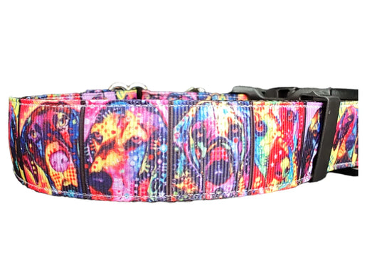 Coleira de Nylon para Cães Rainbow Pup Portraits