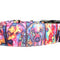 Coleira de Nylon para Cães Rainbow Pup Portraits