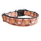 Skulls and Tumbleweeds Cowboy Nylon Dog Collar
