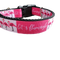 Let's Flamingle Flamingo Nylon Dog Collar