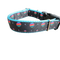 Coleira de Nylon para Cachorro Rainbow Planets