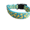 Teal Rubber Duckies Nylon Dog Collar