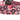 Not Today Heifer Nylon Dog Collar
