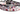 Puppy Love Nylon Dog Collar