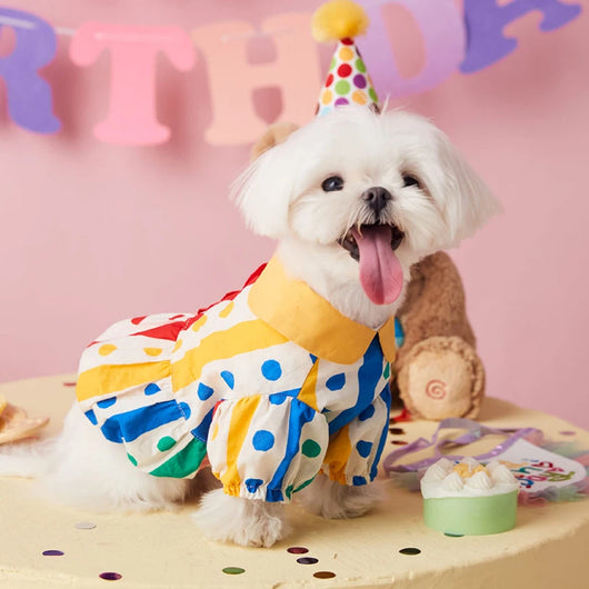 Vestido Infantil Cachorrito Flores con Lunares - Image 28