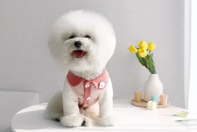 Disfraz para Cachorro Yorkshire con Diseño Acanalado - Image 11