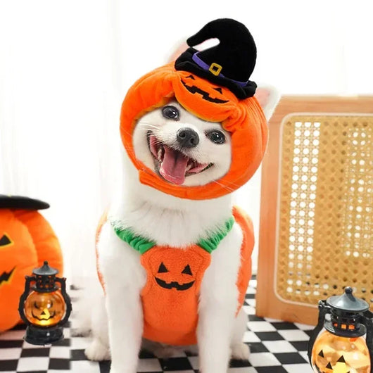 Disfraz de Calabaza para Perros y Gatos - Arnés Festivo para Mascotas Pequeñas - Image 31