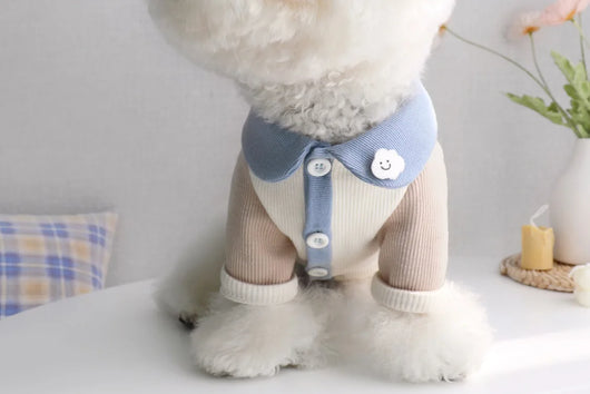 Disfraz para Cachorro Yorkshire con Diseño Acanalado - Image 10