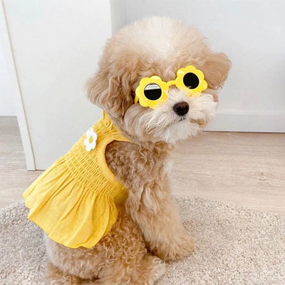Vestido para Perro Girasol de Dos Pies - Image 20