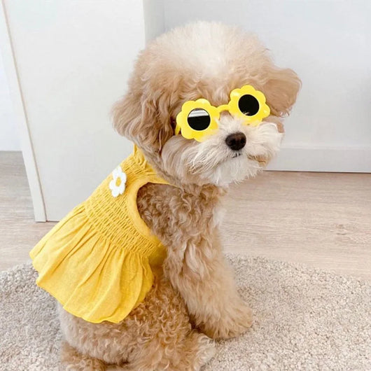 Vestido para Perro Girasol de Dos Pies - Image 20
