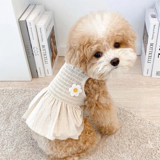 Vestido para Perro Girasol de Dos Pies - Image 22