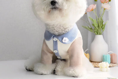 Disfraz para Cachorro Yorkshire con Diseño Acanalado - Image 12