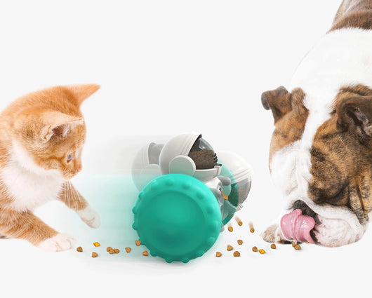 Juguete Interactivo para Perros y Gatos - Auto Dispensador de Alimento Lento - Image 27