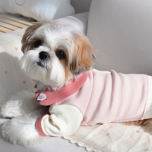 Disfraz para Cachorro Yorkshire con Diseño Acanalado