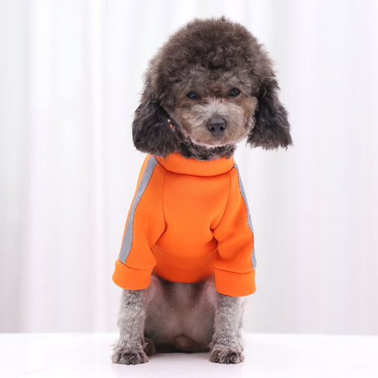 Suéter Reflectante para Paseos Nocturnos - Ropa para Perros y Gatos - Image 23
