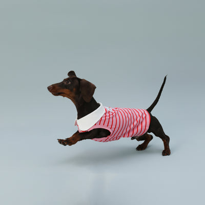 Chaleco sin Mangas para Perro Pequeño Rayas Rojo - Image 4