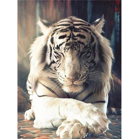Pintura por Números Tigre Blanco
